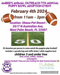Ambers Animal Outreach 7th annual Puppy Bowl adoption fundraiser