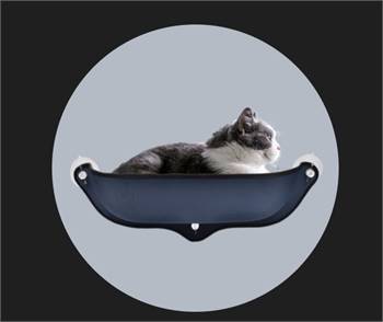 Window Bed For Cats !