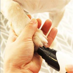 Rechargeable Dog Nail Grinder!!