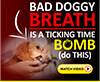 Bad dogi breath  